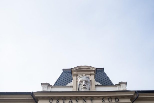 vy nimky dlhovej brzdy su mozne len pri nahlych a neocakavanich udalostiach