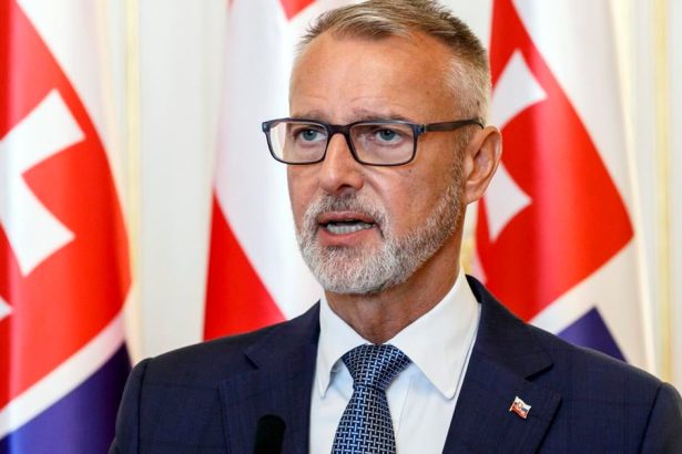 Kandidatov v samospravnych volbach ostava na podanie kandidatok uz len jeden den