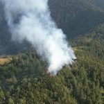 Lesny poziar v Narodnom parku Velka Fatra bol zlikvidovany