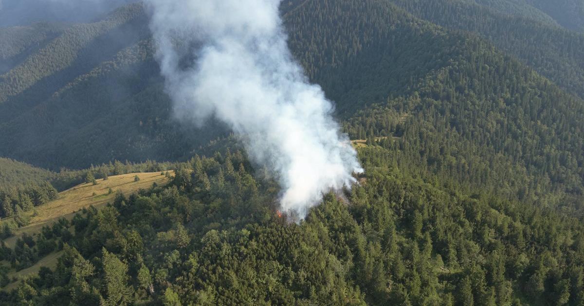 Lesny poziar v Narodnom parku Velka Fatra bol zlikvidovany