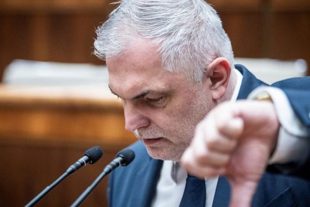 Michelko ocakava ze minister Taraba opusti svoju funkciu do 15 septembra