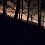 Ohen mohol sposobit obrovske skody Desiatky hasicov zasahovali pri nocnom poziari lesa