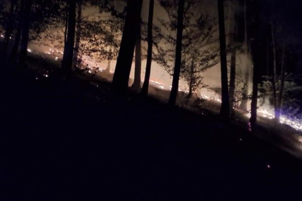 Ohen mohol sposobit obrovske skody Desiatky hasicov zasahovali pri nocnom poziari lesa