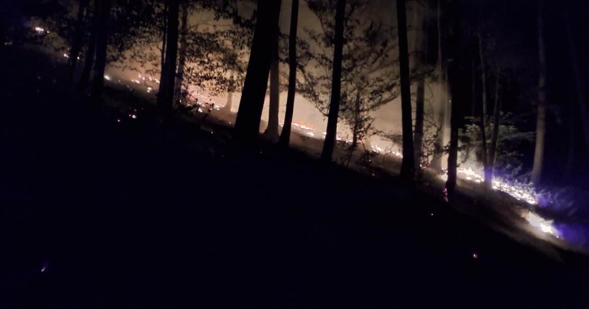 Ohen mohol sposobit obrovske skody Desiatky hasicov zasahovali pri nocnom poziari lesa