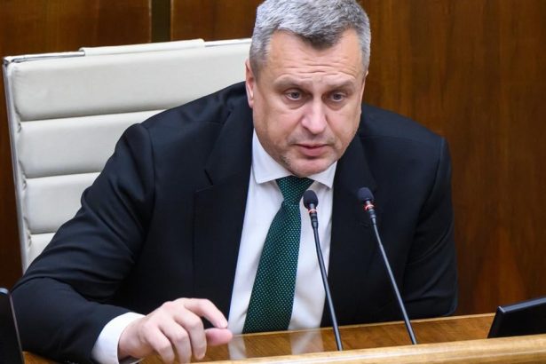 SNS pojde do volieb samostatne Danko planue zmeny v strane