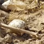 Archeológovia na Srí Lanke objavili nové nálezisko z obdobia staroveku