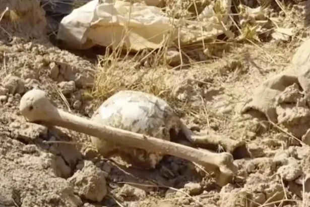 Archeológovia na Srí Lanke objavili nové nálezisko z obdobia staroveku