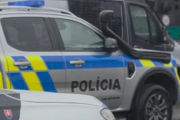 Cudzinci páchajú trestnú činnosť na našom území