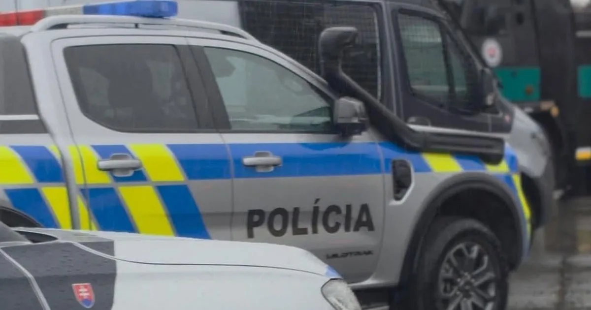 Cudzinci páchajú trestnú činnosť na našom území