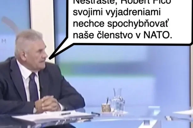 Cynická obluda: Ficove neškodné vyhlásenia?