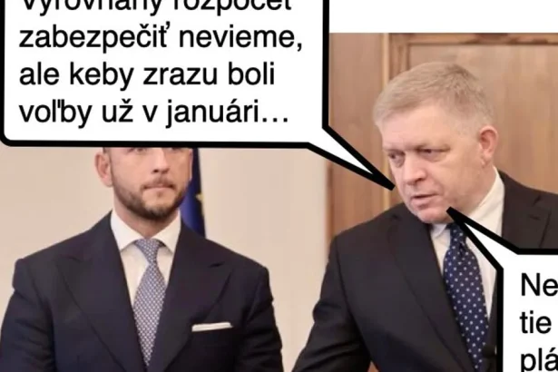 Cynická obluda: Predčasné voľby ako fiškálna zodpovednosť