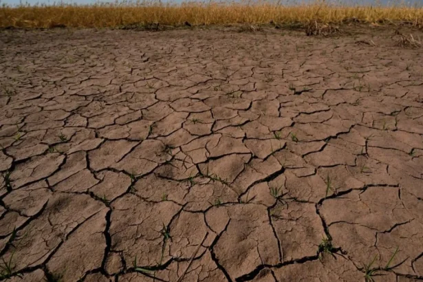 El Niño ničí každodenný život miliónov detí v Latinskej Amerike