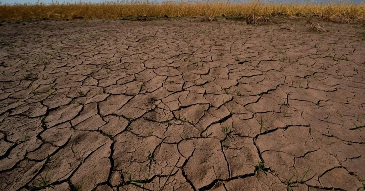 El Niño ničí každodenný život miliónov detí v Latinskej Amerike