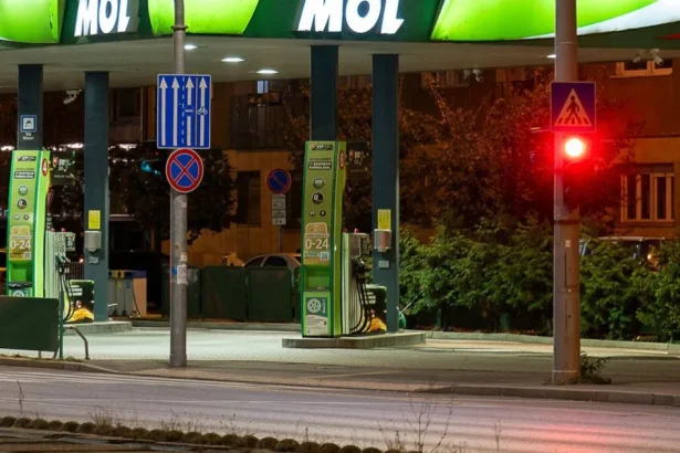 Fidesz vyjadril nesúhlas so zrušením právomocí Maďarska