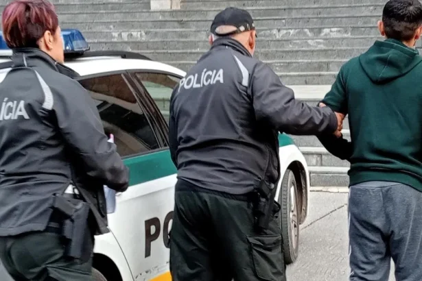 Muž sa vyhrážal družke smrťou a búchal sekerou po dverách, ona s deťmi utiekla oknom
