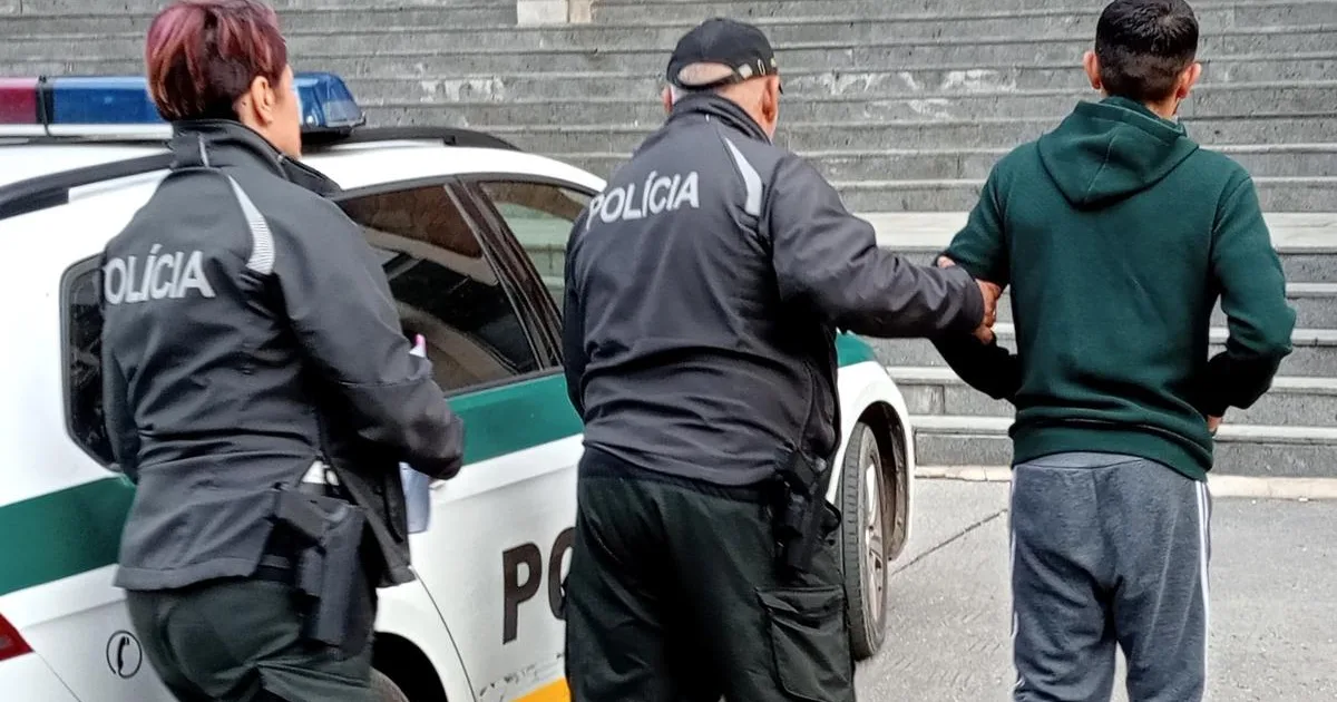 Muž sa vyhrážal družke smrťou a búchal sekerou po dverách, ona s deťmi utiekla oknom