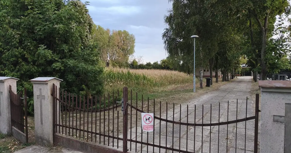 Na cintoríne namiesto pšenice kukurica, domáci podali podnet