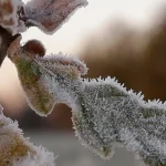 Na strednom a východnom Slovensku platia výstrahy