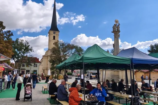 Oberačky sa začali, burčiak je veľmi sladký. Vinohrad nesklamal, tvrdí vinár