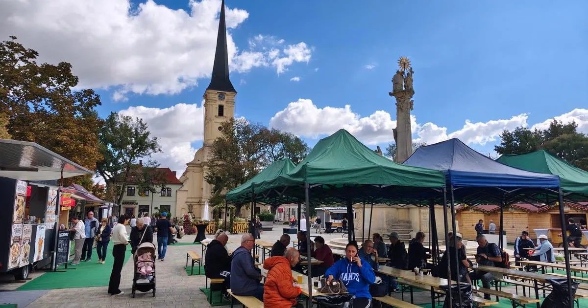 Oberačky sa začali, burčiak je veľmi sladký. Vinohrad nesklamal, tvrdí vinár