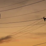 Po strmom raste sa ceny plynu a elektriny na burzách upokojili