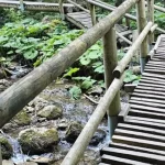 Pohyb po obľúbenom turistickom chodníku môže byť nebezpečný. V Terchovej vydali výstrahu