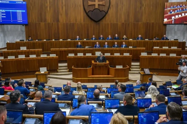 Ruský model parlamentarizmu a jeho vplyv na politický systém