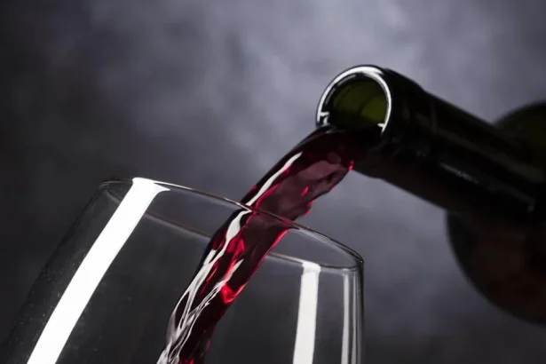 Slovenské vinárstvo sa zmieta v kríze, viaceré podniky zvažujú odchod z trhu (rebríček)