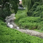 Suchá a horúca vlna prináša rekordné teploty a minimálne zrážky