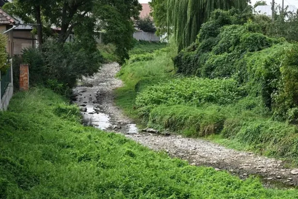 Suchá a horúca vlna prináša rekordné teploty a minimálne zrážky