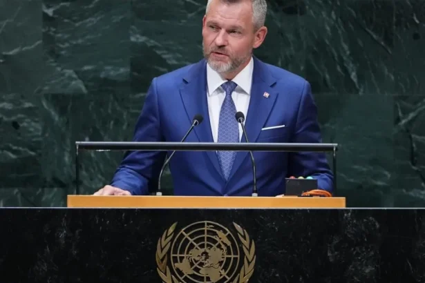 Svet bez pravidiel, kde vládne sila, nebude bezpečný, uviedol Pellegrini v OSN