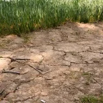 Takáč rozdelí milióny farmárom napriek suchu