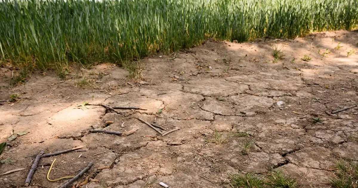 Takáč rozdelí milióny farmárom napriek suchu
