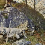 Domy pri unikátnom nálezisku, ochranári idú na prokuratúru