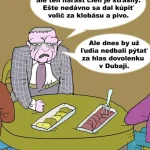 Drahý volič: karikatúra, ktorá poukazuje na paradox volebnej reality