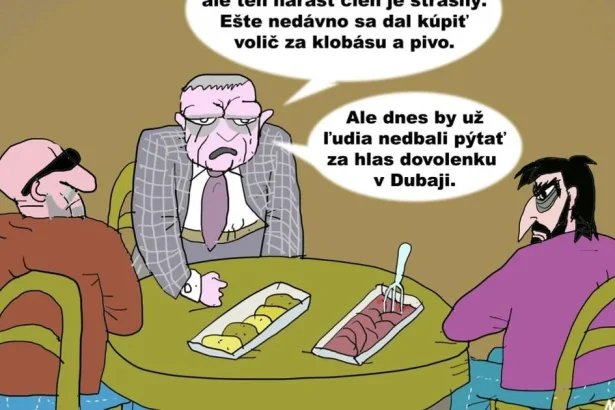 Drahý volič: karikatúra, ktorá poukazuje na paradox volebnej reality
