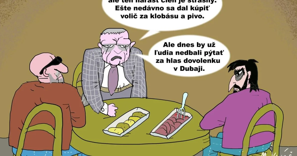 Drahý volič: karikatúra, ktorá poukazuje na paradox volebnej reality