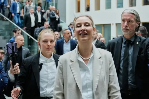Hackeri prenikli do e-mailov AfD, časť komunikácie zverejnili na internete