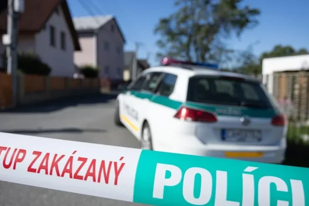 Inšpekcia preveruje, či policajti v Staškove nezlyhali pred útokom