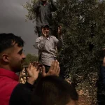 Izraelskí osadníci útočili na Palestínčanov a podpálili olivovníky