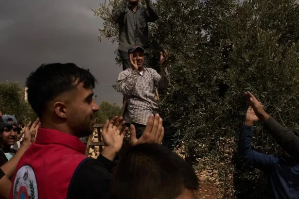 Izraelskí osadníci útočili na Palestínčanov a podpálili olivovníky