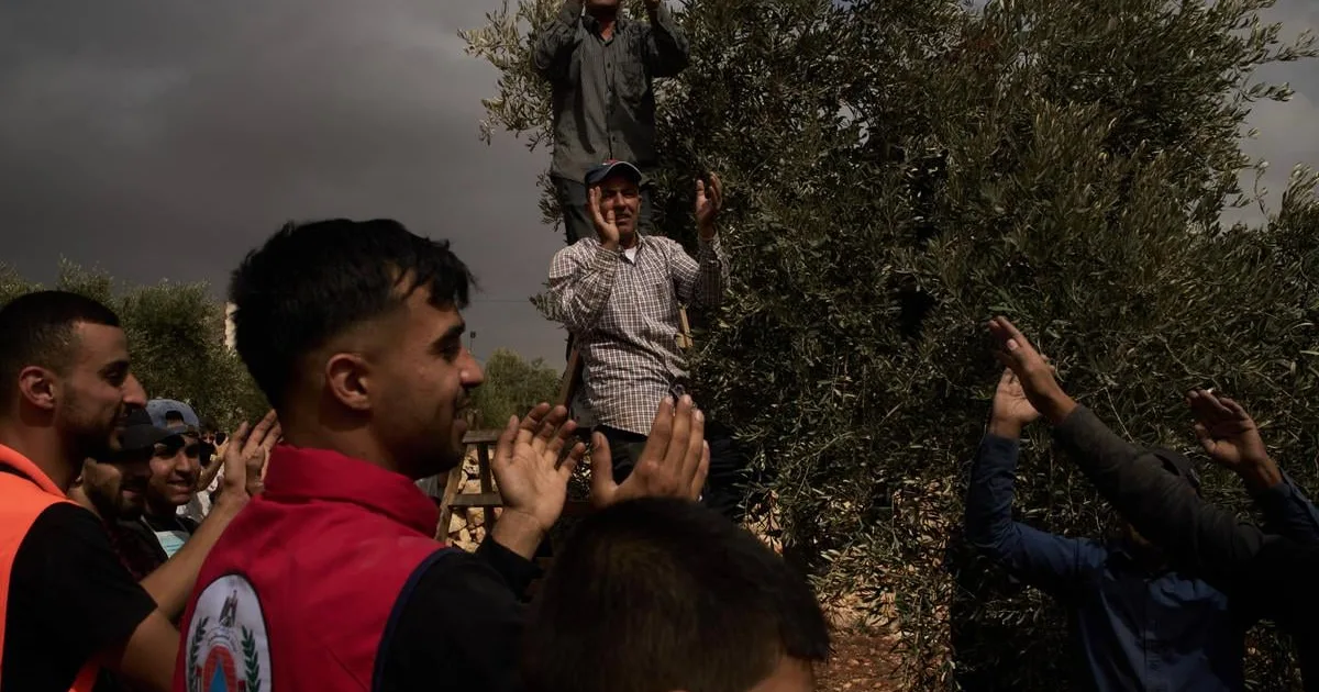 Izraelskí osadníci útočili na Palestínčanov a podpálili olivovníky