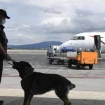 Lietadlo rakúskych aerolínií núdzovo pristálo pre bombovú hrozbu