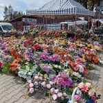 Nákupná turistika pri Poľsku prekvitá, autá stoja v kolónach