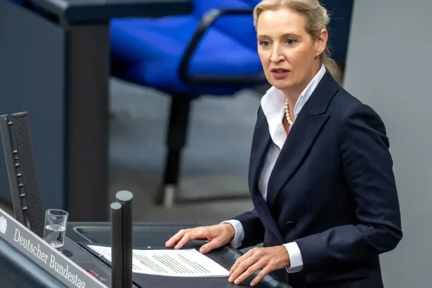 Nemecká strana AfD chce oslabiť právomoci Európskej komisie