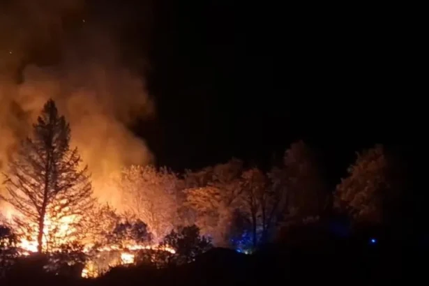 Požiar zachvátil dve opustené budovy. Jedna bola vážne poškodená, čaká ju demolácia