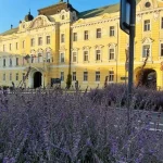 Pravicová koalícia valcovala, viaceré známe mená prepadli, medzi nimi aj Tibor Gašpar