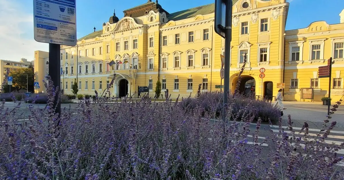 Pravicová koalícia valcovala, viaceré známe mená prepadli, medzi nimi aj Tibor Gašpar