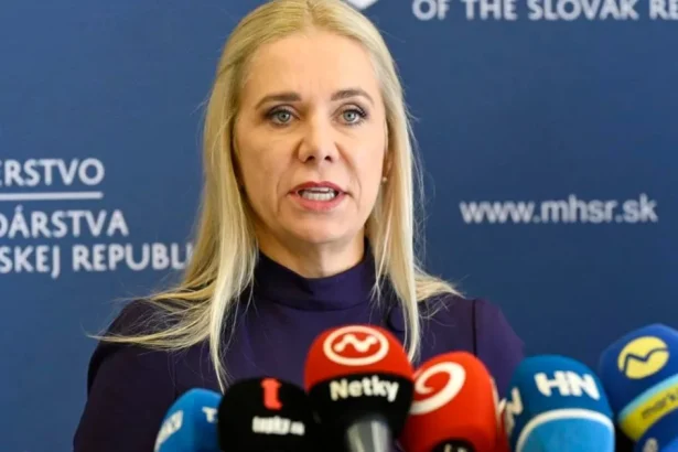 Saková: Slovensko má na zimu zmluvy aj dostatok plynu