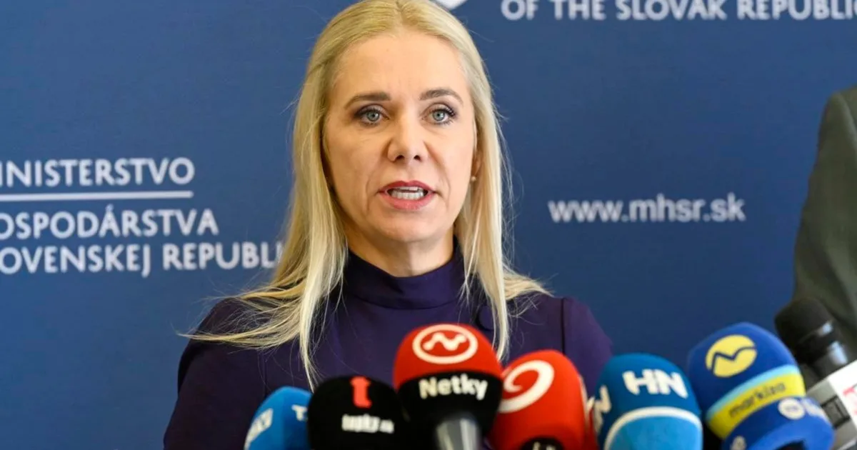 Saková: Slovensko má na zimu zmluvy aj dostatok plynu